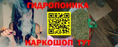 крисы Сланцы