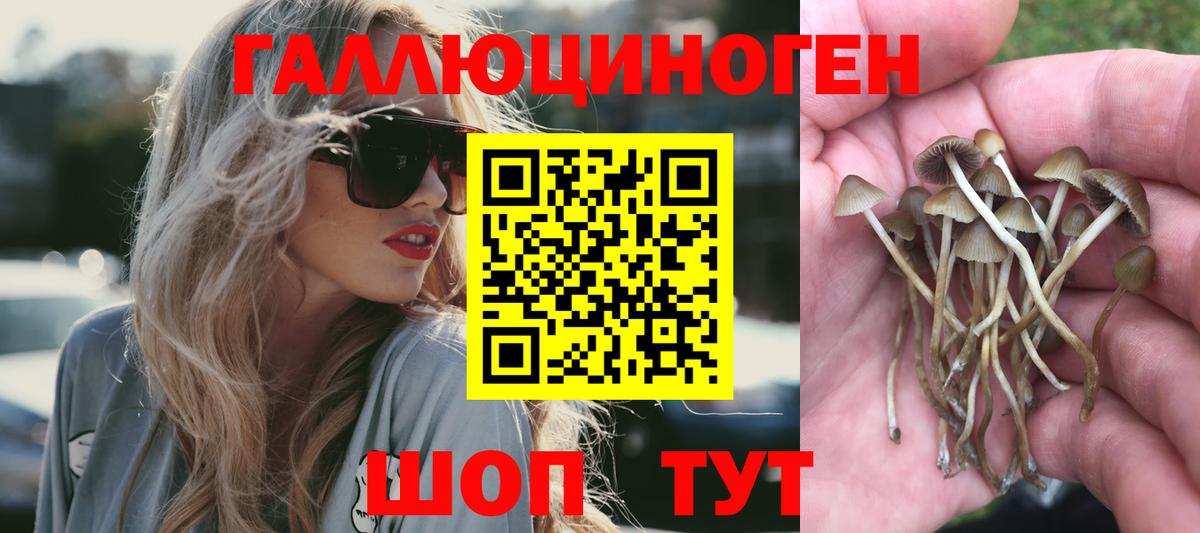 Галлюциногенные грибы мицелий  Вход с VPN  Новочеркасск 